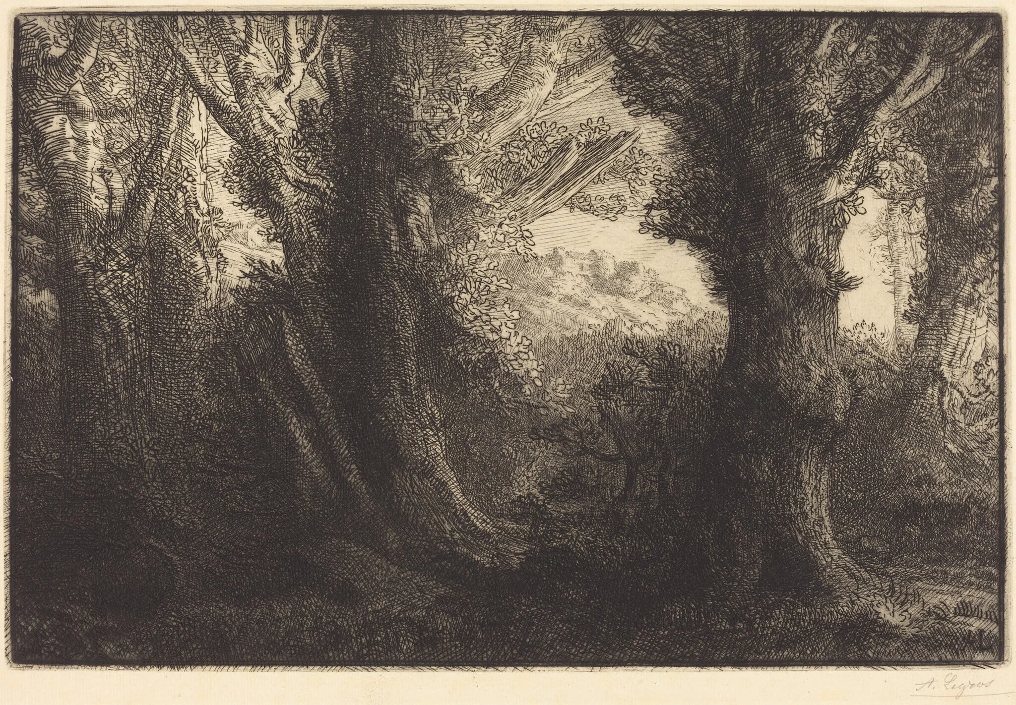 In the Forest of Conteville  (Dans la foret de Conteville)