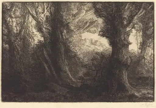 In the Forest of Conteville  (Dans la foret de Conteville)