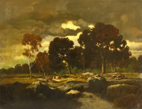 Dusk in a forest