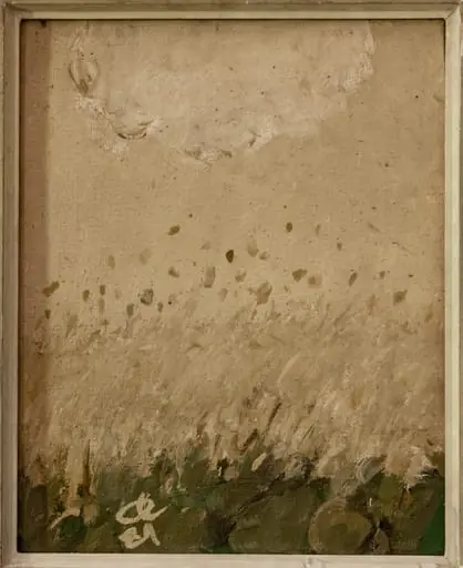 Insulă