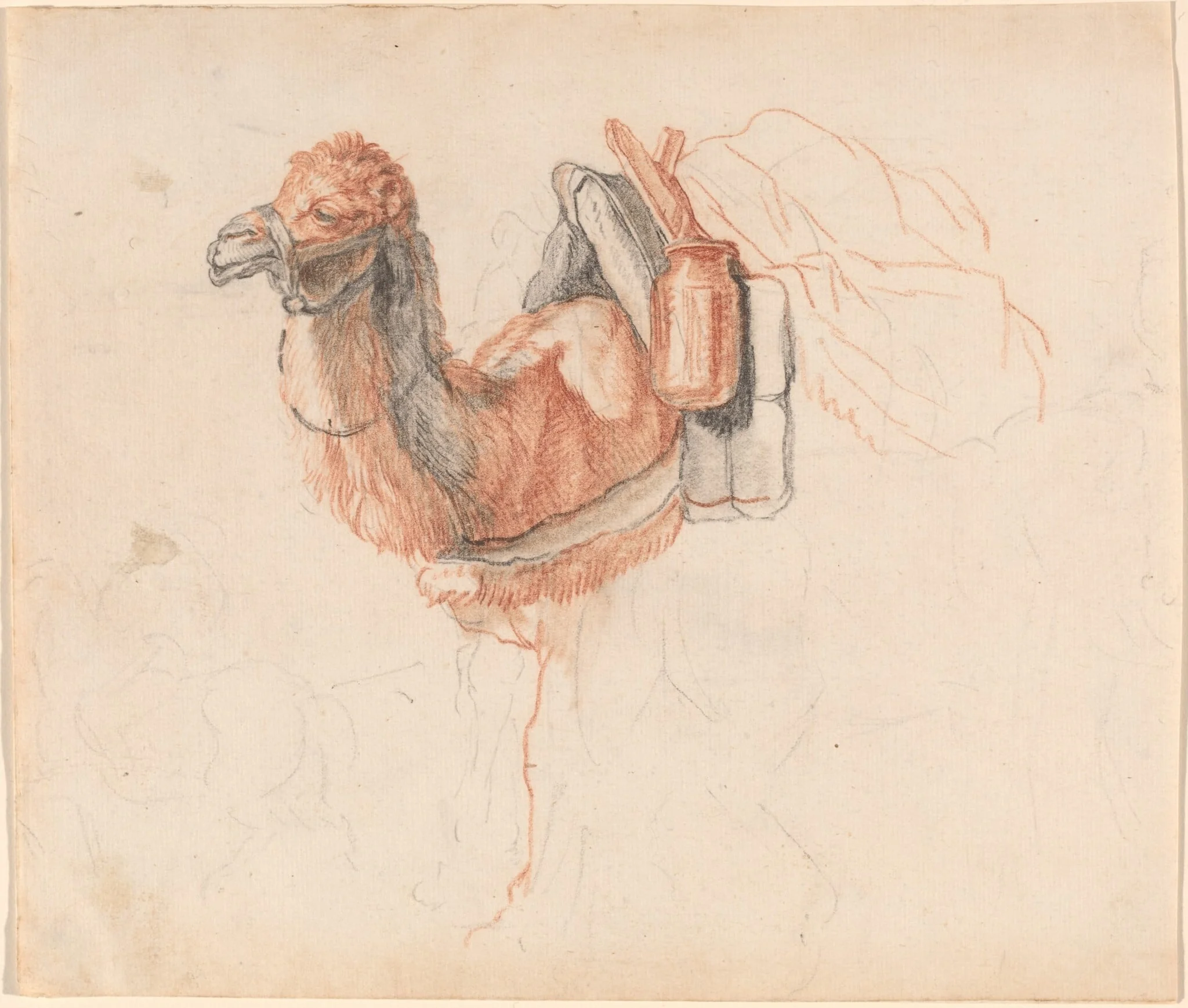 Camel, by Johann Rudolph Schellenberg, chalk, 1774