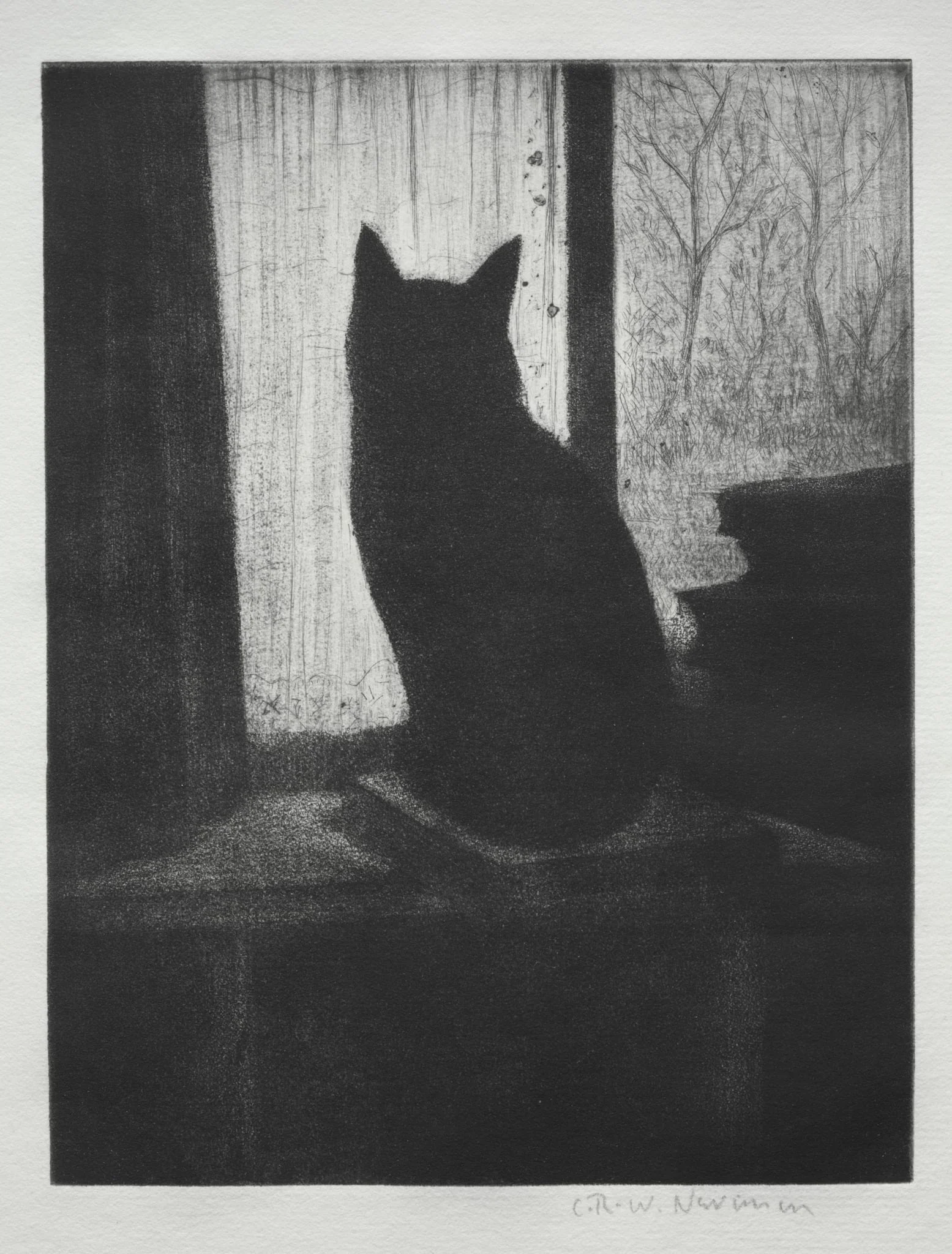 The Cat, by C. R. W. Nevinson, 1904