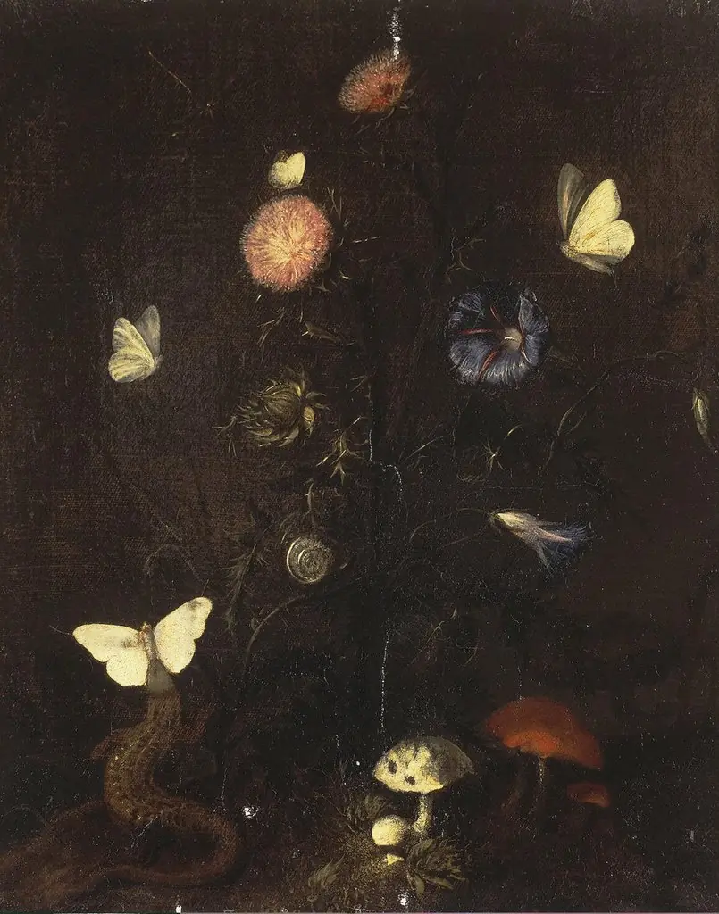 Flowers, Lizard and Butterflies