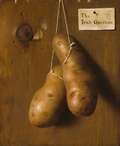 The Irish Question