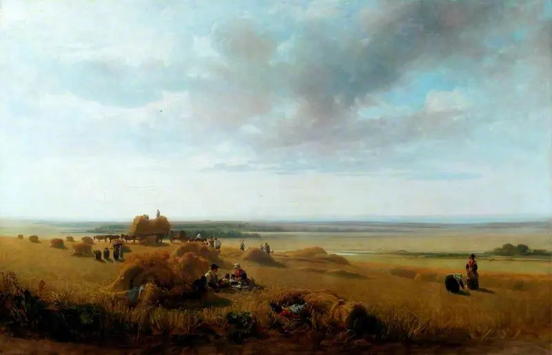 A Cornfield