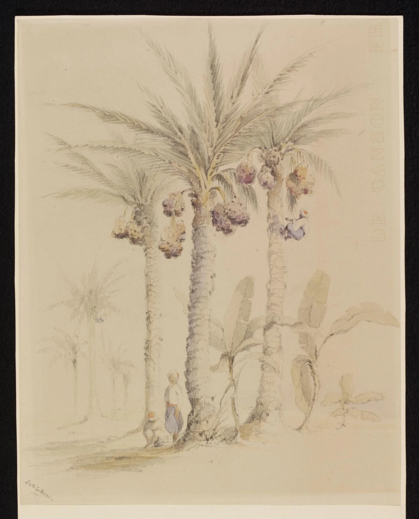 Date Gatherers, by Unknown, watercolor, 1847