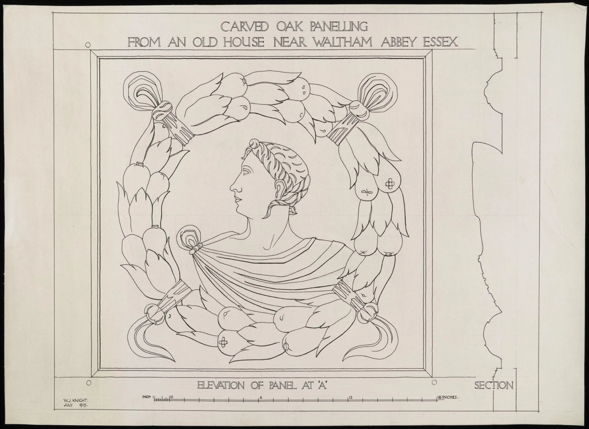 Untitled, by W.J. Knight, 1919