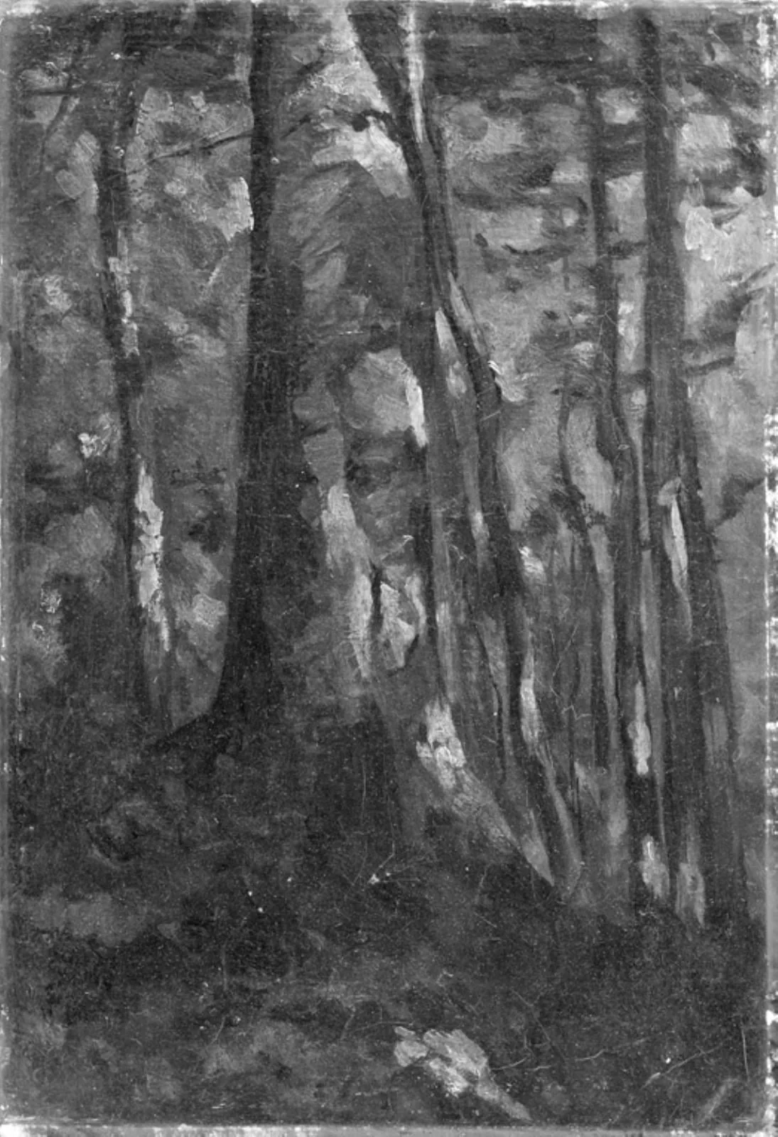 The Interior of a Forest, by Unknown, 1850