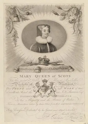 H Beard Print Collection