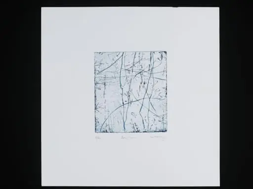 Songlines