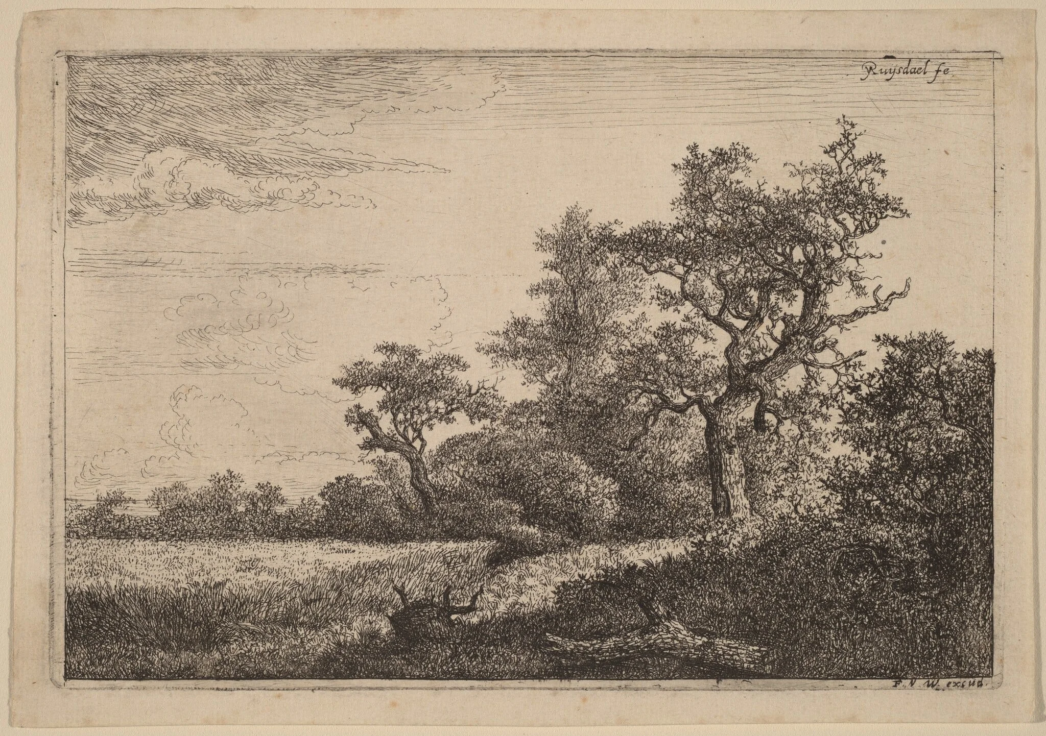 Grain Field at the Edge of a Wood (Corn Field)