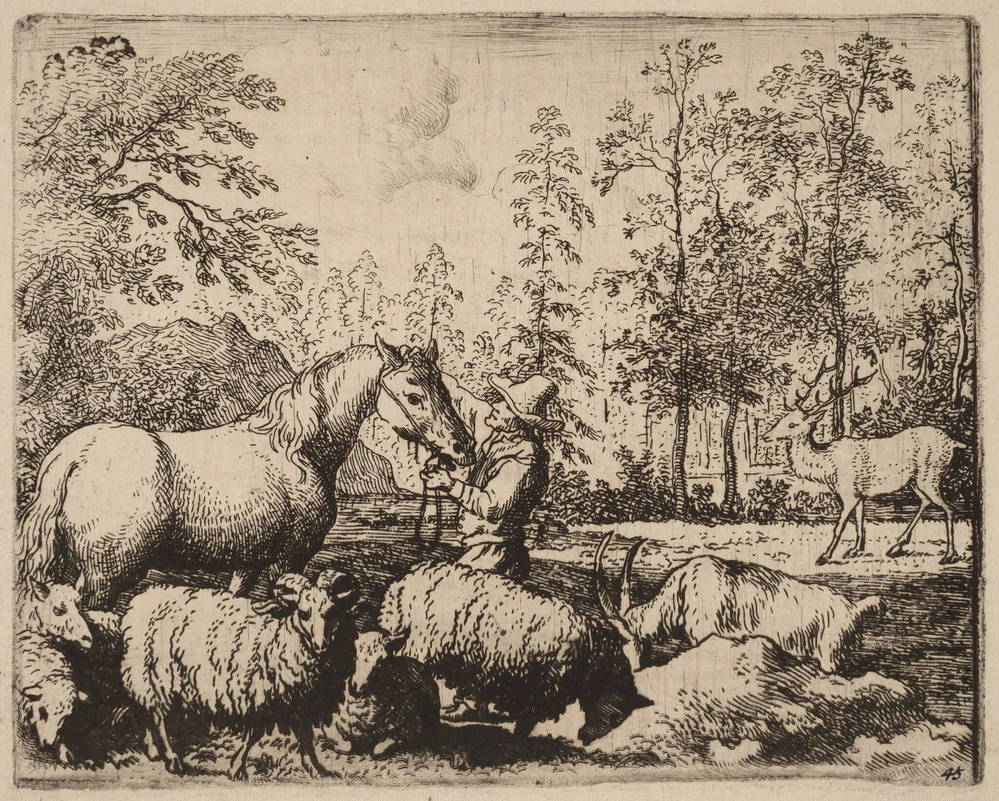 The Horse and the Stag