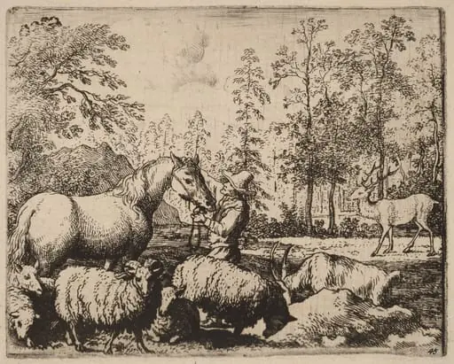 The Horse and the Stag