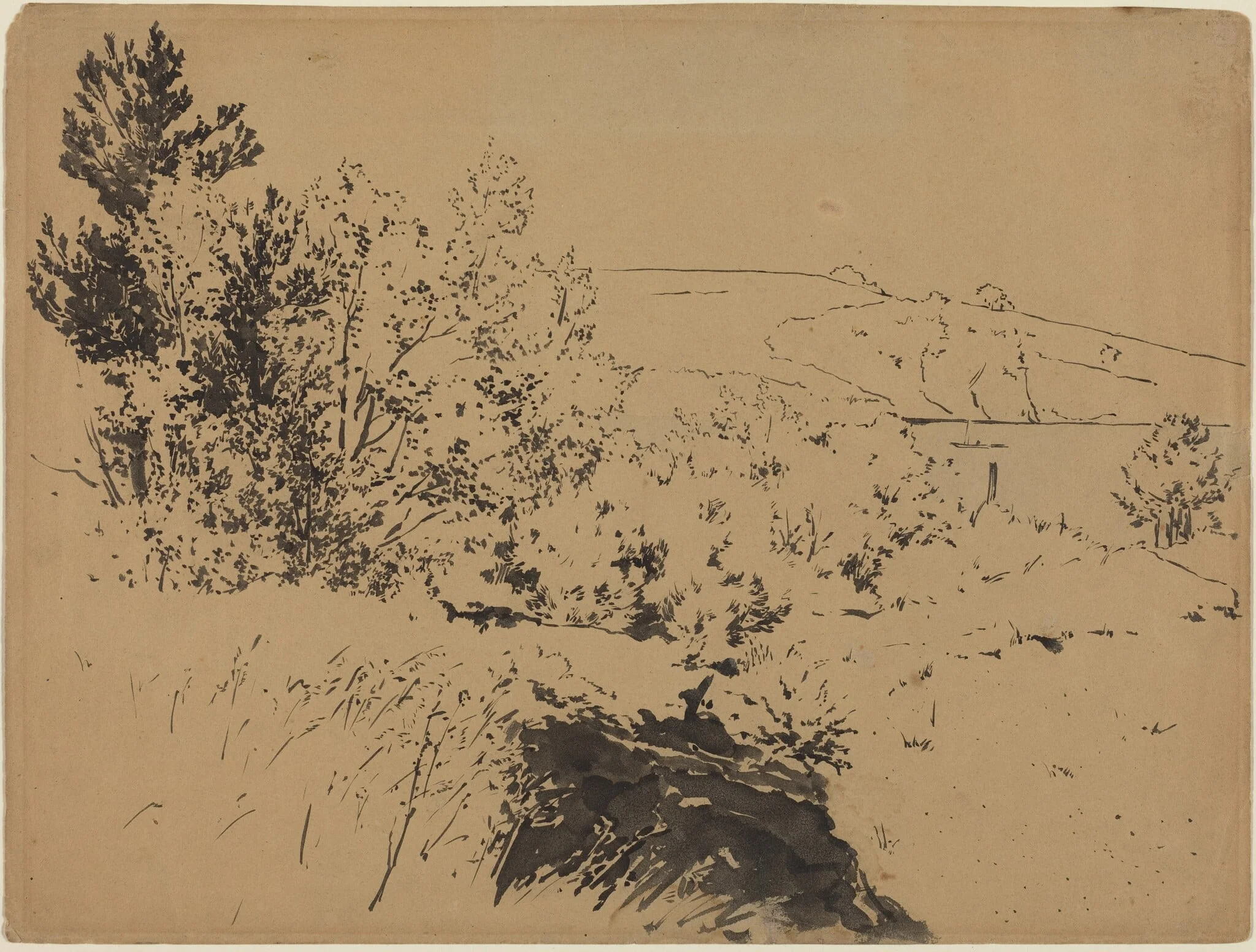 Coastal Landscape