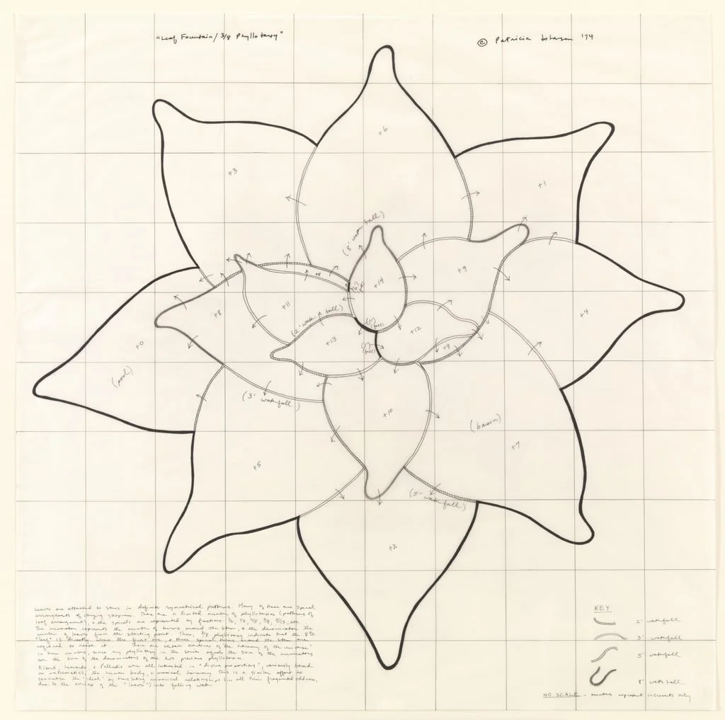 Untitled, by Patricia Johanson, charcoal, 1974