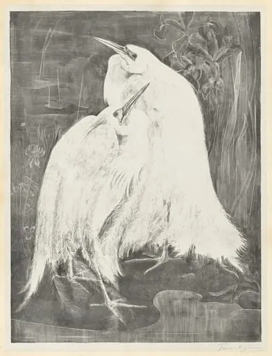 Two White Egrets