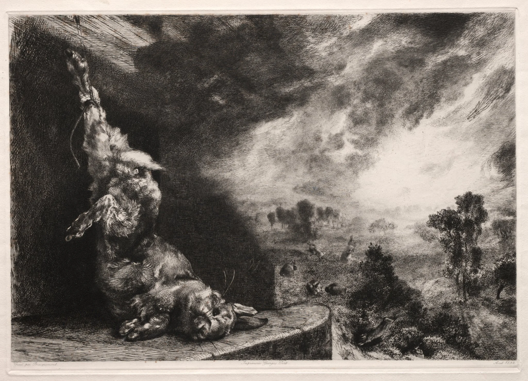The Large Rabbit, by Félix Bracquemond, 1891