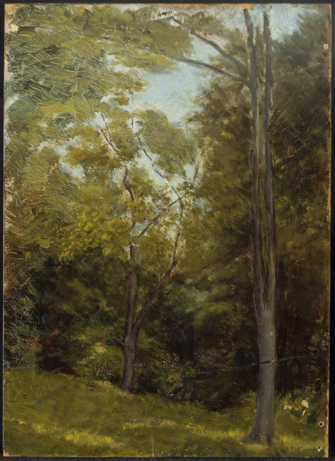 Landscape