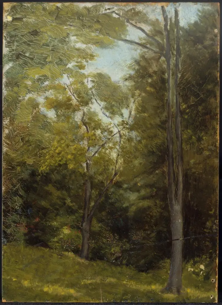 Landscape