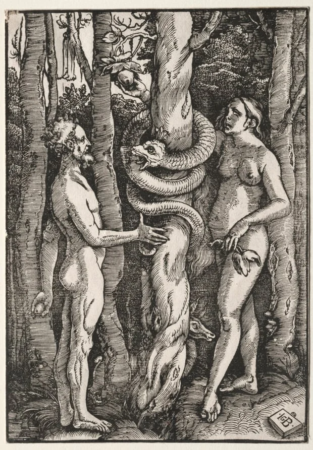 Adam and Eve, by Hans Baldung Grien, 1514