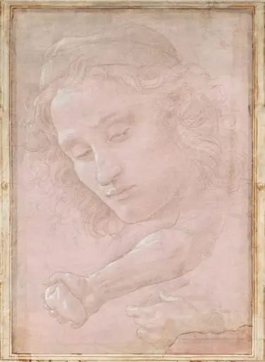 Head of a Youth Wearing a Cap; a Right Forearm with the Hand Clutching a Stone; and a Left Hand Holding a Drapery