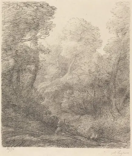 Landscape: Morning Mist (Paysage: Brumes du matin)