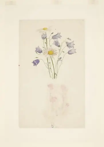 Study of harebells and marguerites