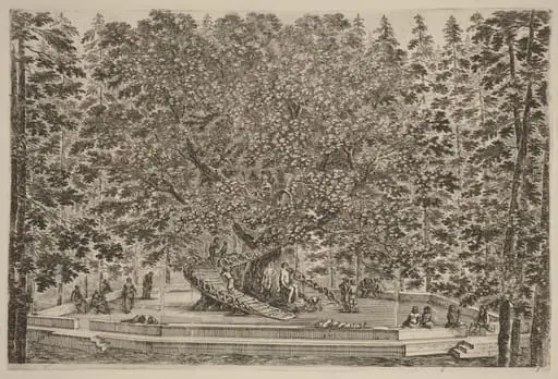 The Inhabited Tree