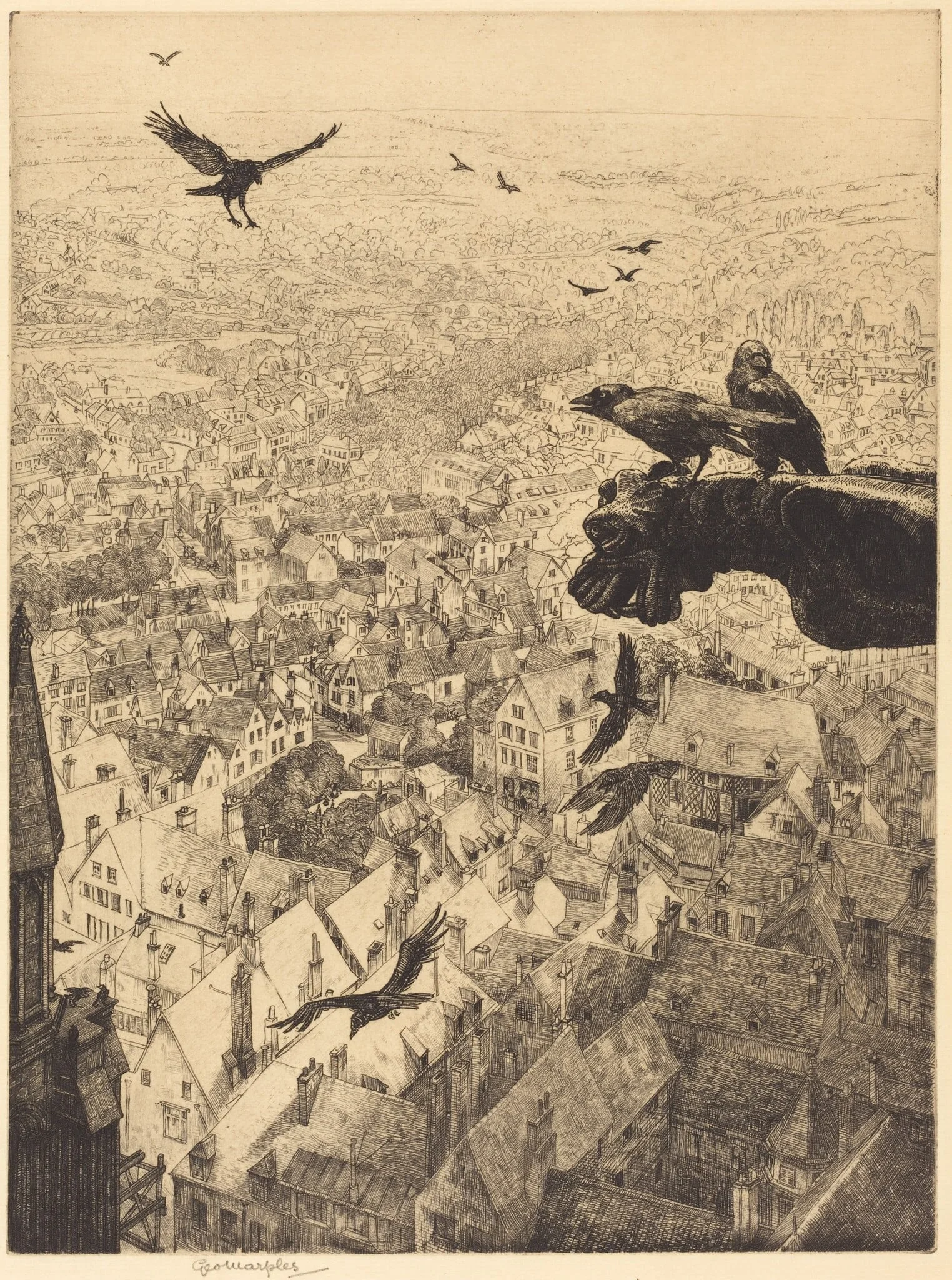 Jackdaws of Chartres