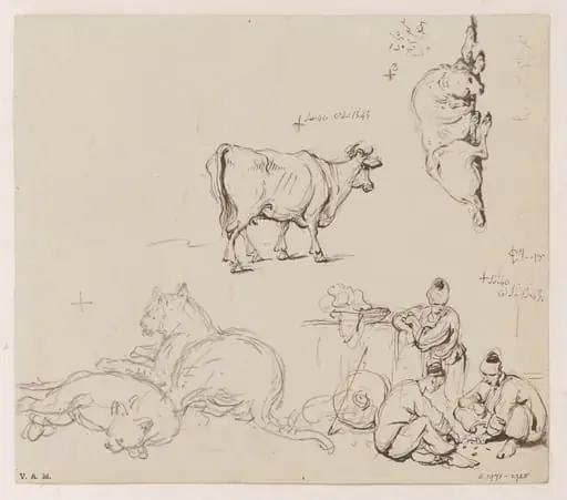 Animals, and a group of gamblers