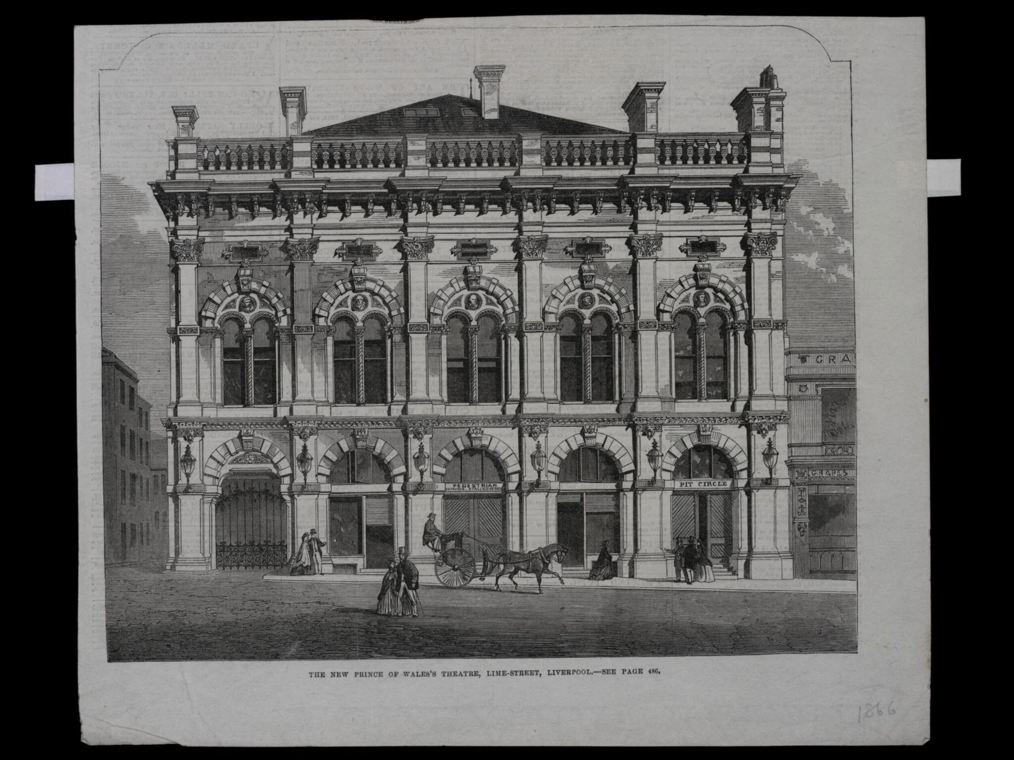 H Beard Print Collection