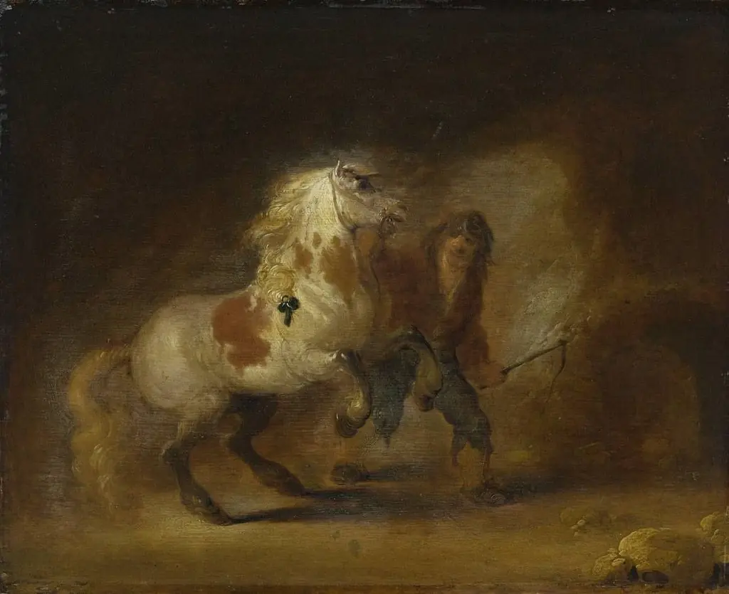 Q30056957