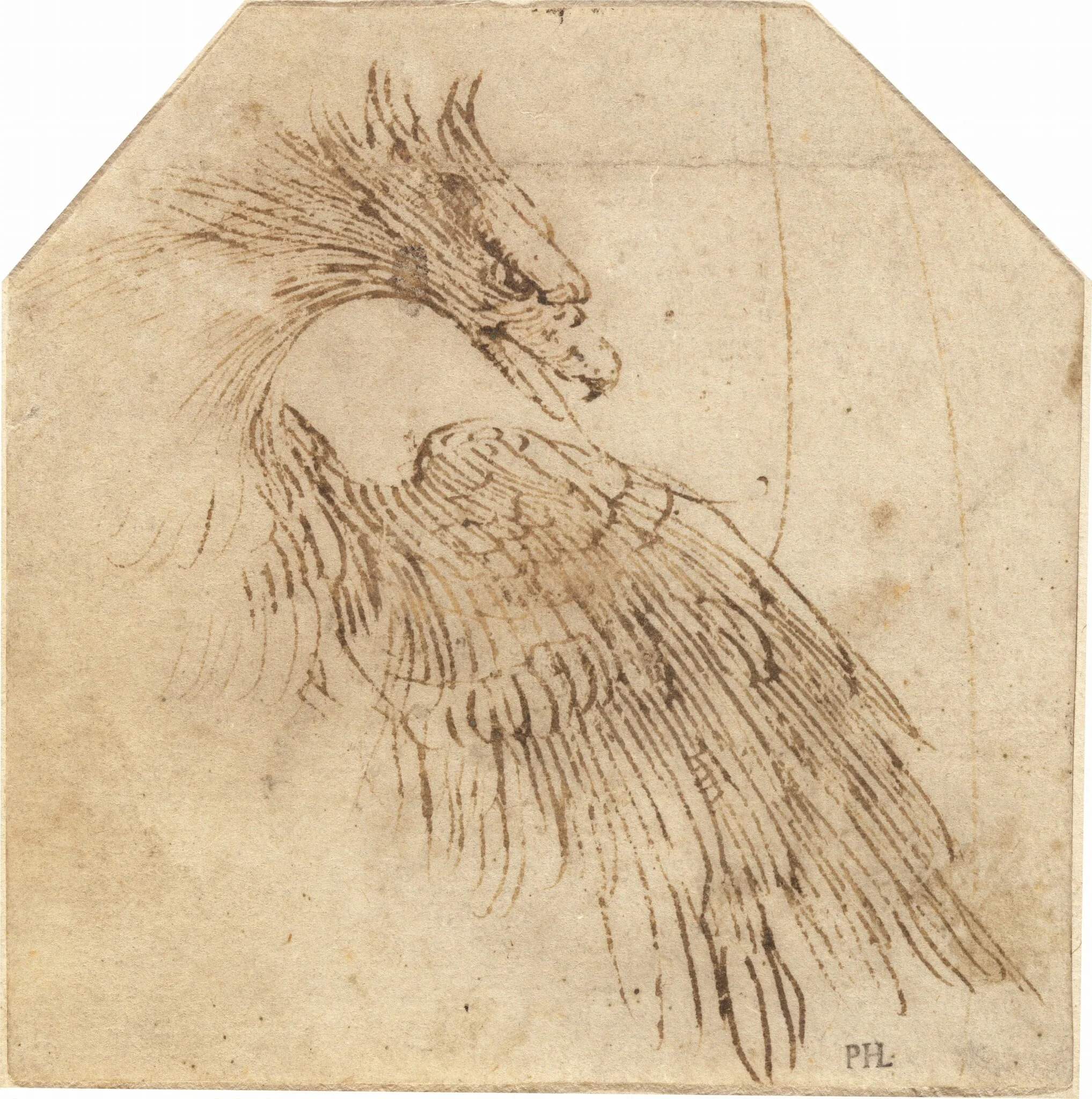 An Eagle, by Titian, ink, 1562