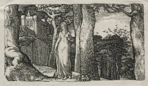 The Lady and the Rooks