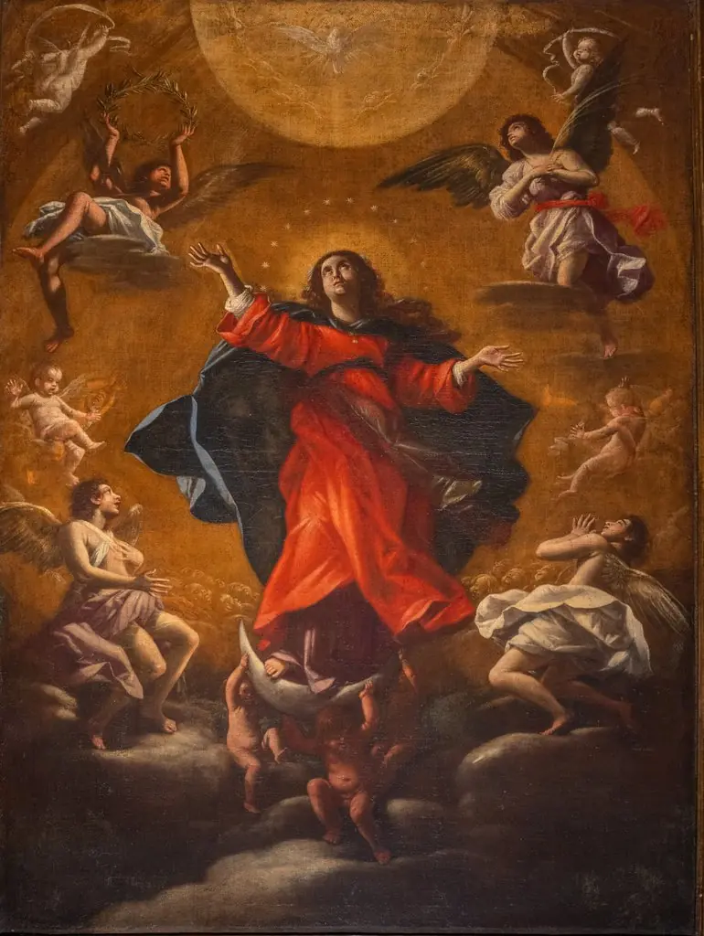 Madonna in Glory