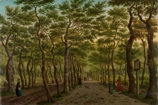 Het Herepad in het Haagse Bos