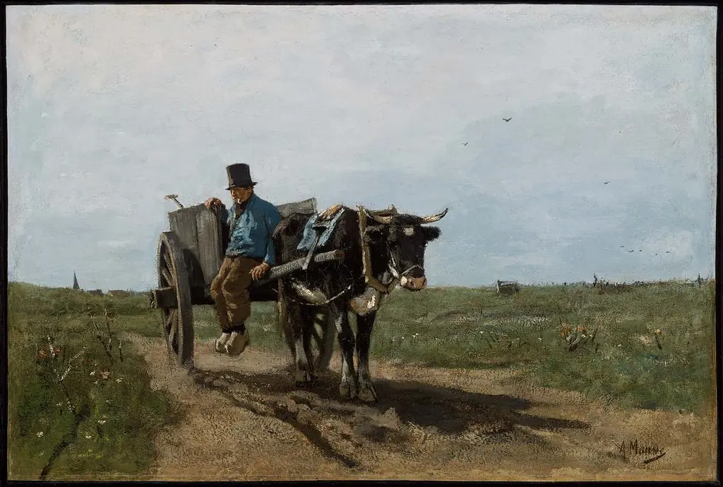 Carter on a Country Road
