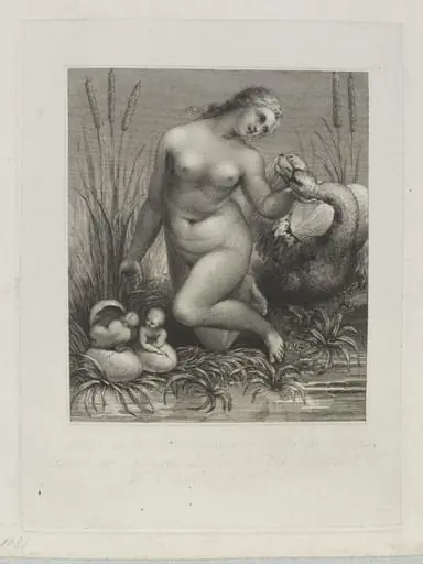 Leda