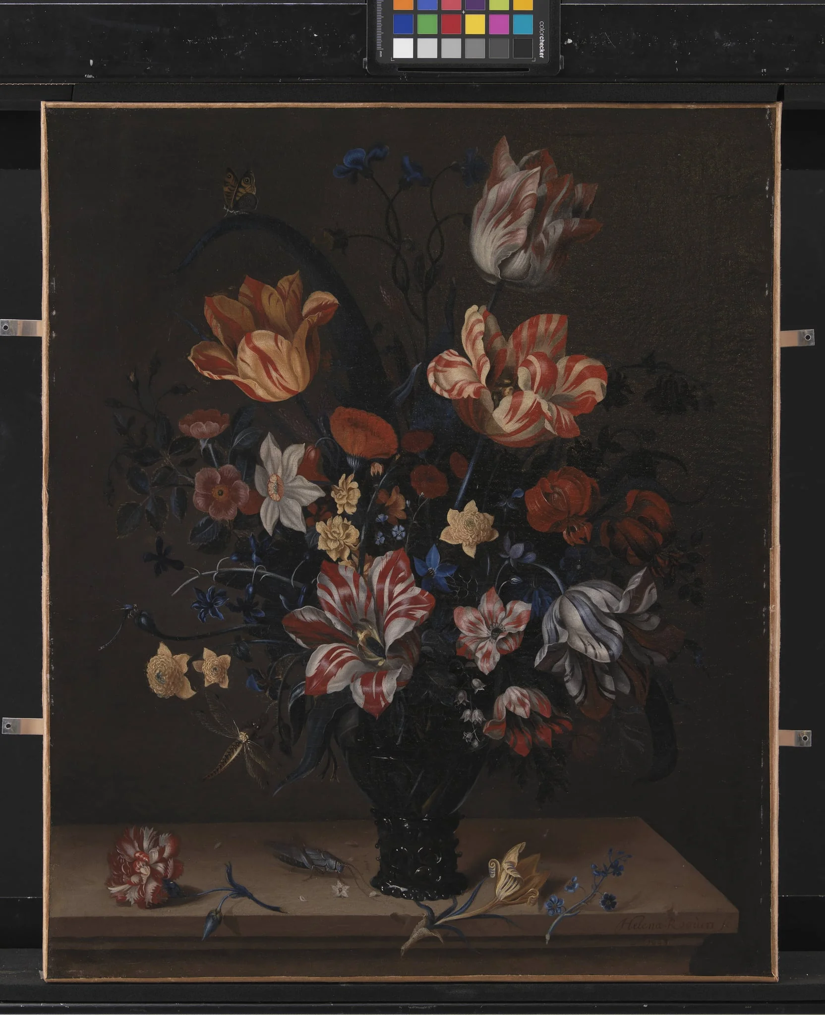 Tulips and Other Flowers in a Rummer, by Unknown, 1663