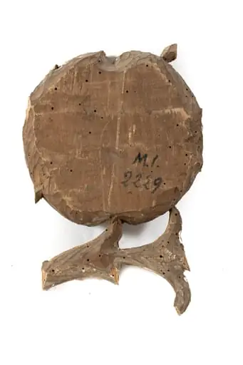 Naum