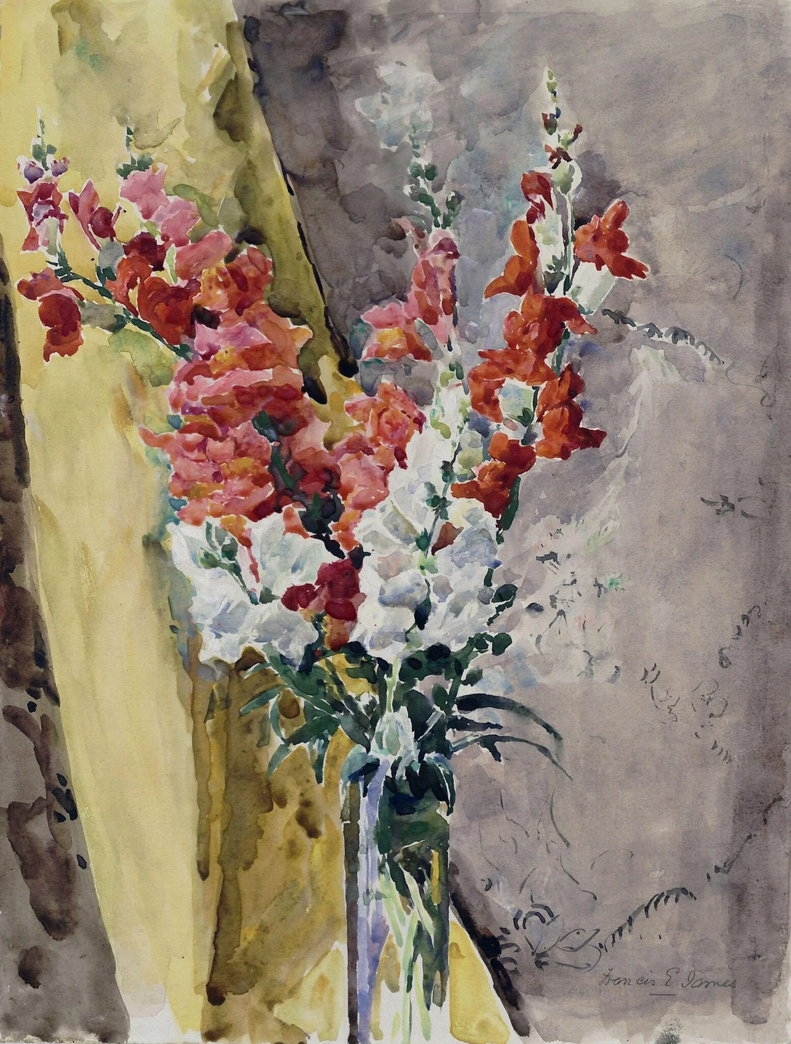 Antirrhiniums by a Yellow Curtain, by Francis Edward RWS James, watercolor, 1870