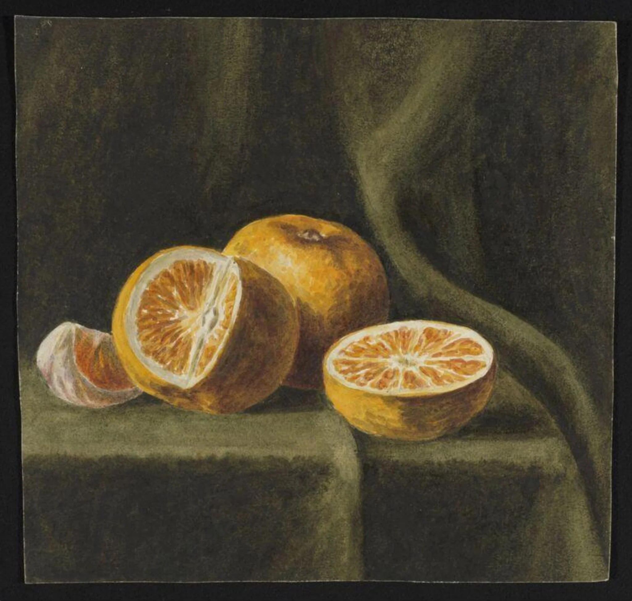 Untitled, by Beatrix Potter, watercolor, 1883