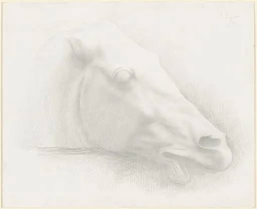 Head of a Horse from the Parthenon