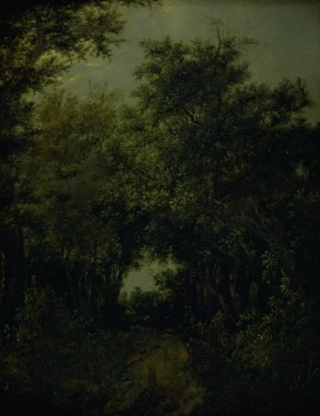 Road in an Oak Forrest, by Unknown, 1646