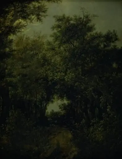 Road in an Oak Forrest