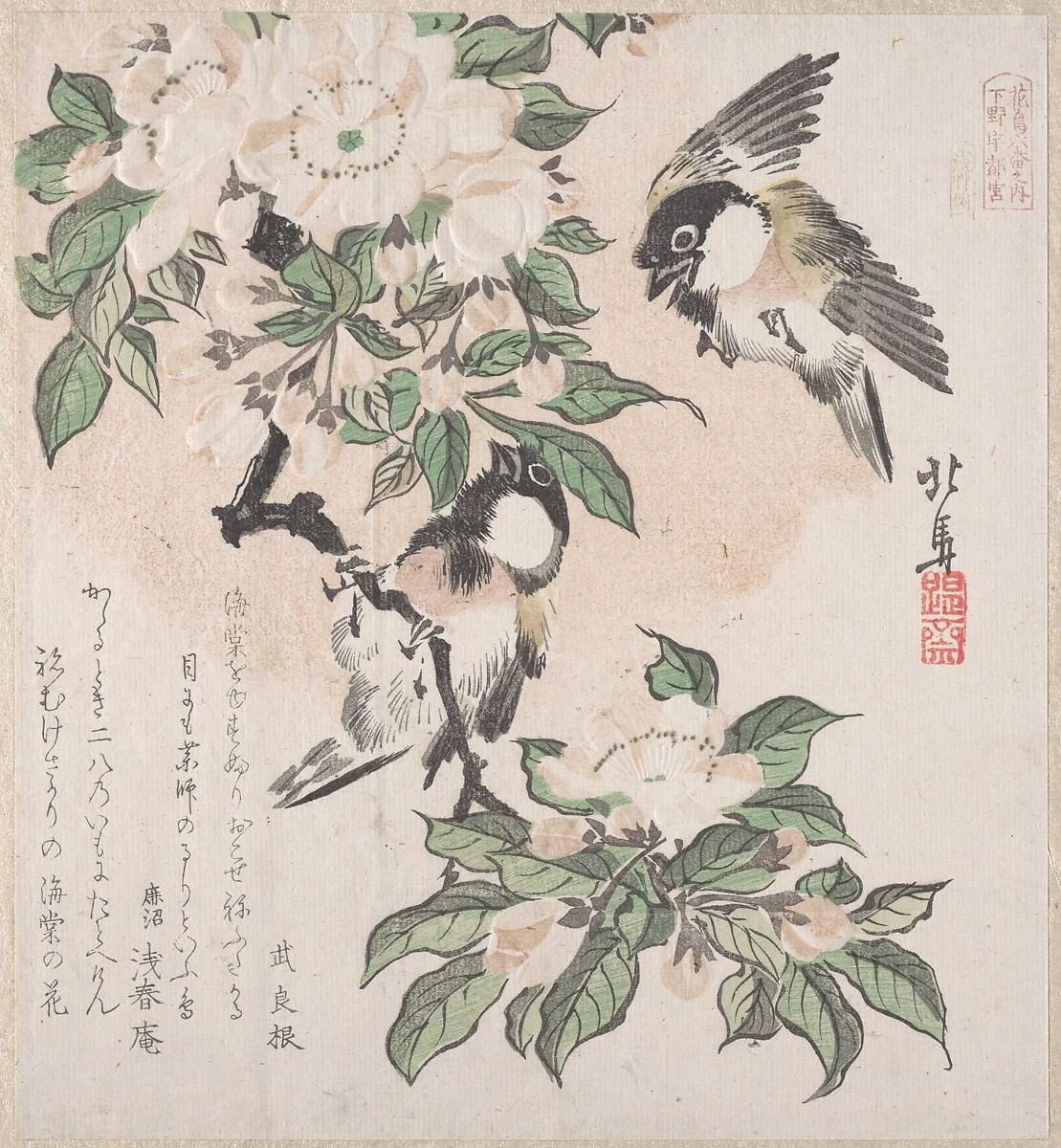 摺物帖　『春雨集』　『花鳥六番之内　下野宇都宮』　海棠に山雀|Spring Rain Collection (Harusame shū), vol. 3: Marsh-tits and Crab Apple Flowers, by Teisai Hokuba, ink, 1820
