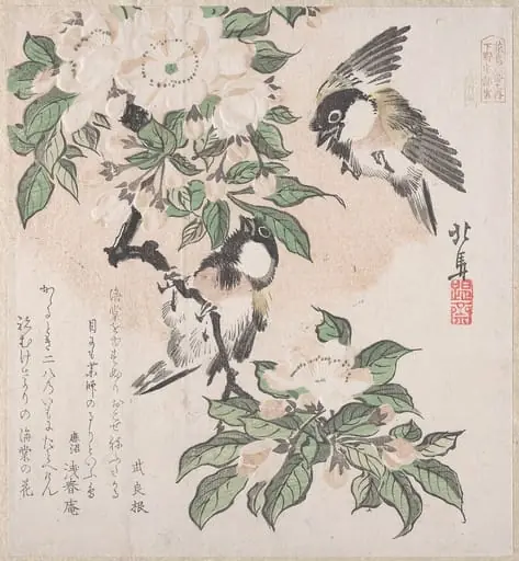 摺物帖　『春雨集』　『花鳥六番之内　下野宇都宮』　海棠に山雀|Spring Rain Collection (Harusame shū), vol. 3: Marsh-tits and Crab Apple Flowers