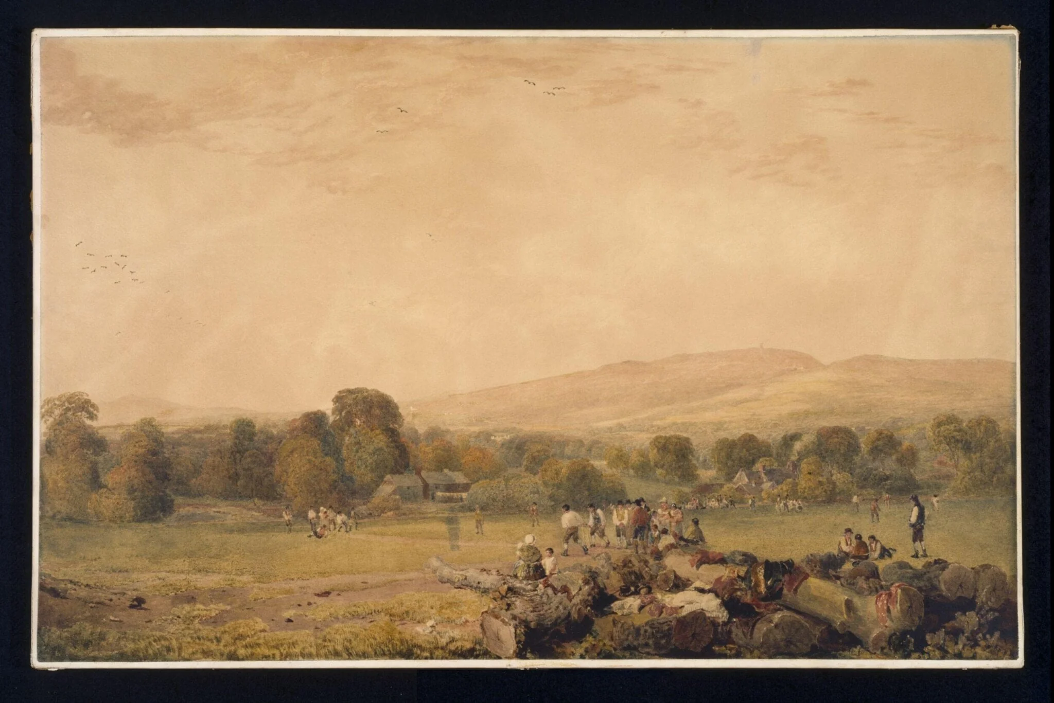 The Cricketers