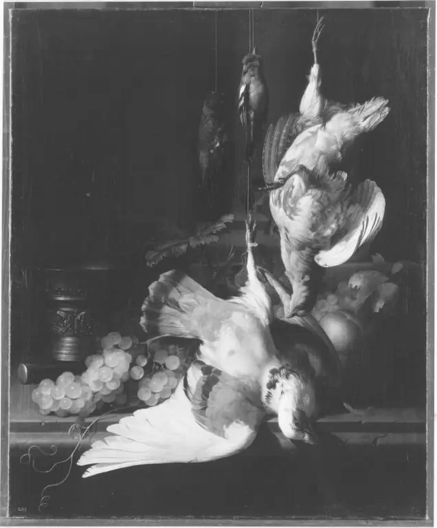 Q29906791