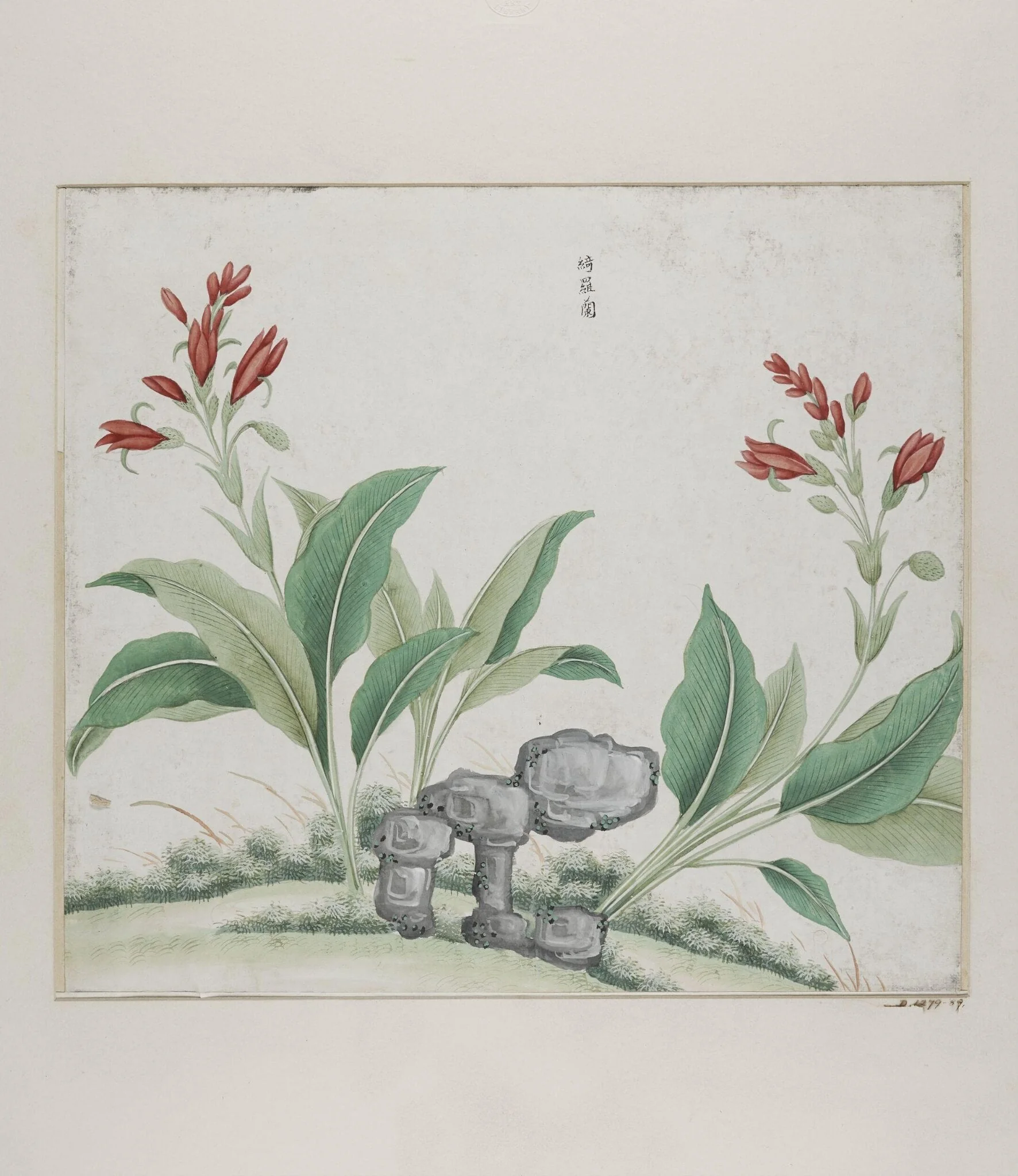 Yi luo lan, by Unknown, paint, 1780